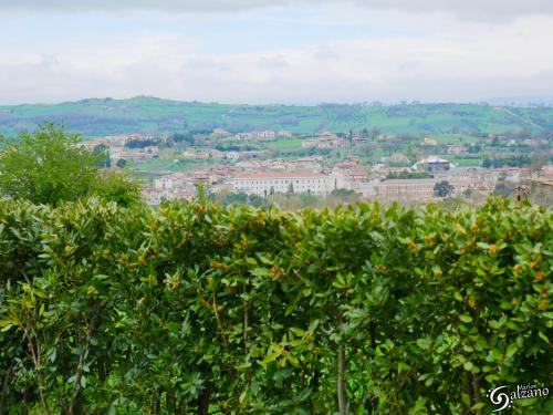 a view of a city from behind a hedge at Masseria Fontana dei Fieri in Pietrelcina