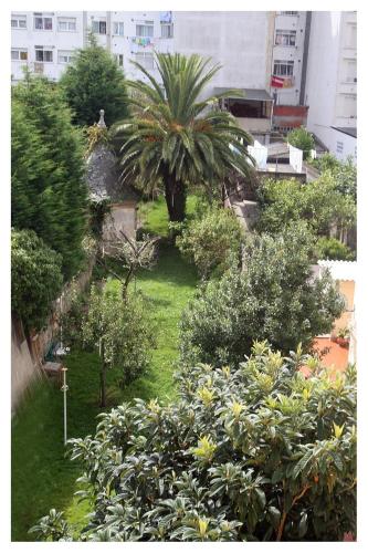 een uitzicht op een tuin met een palmboom en struiken bij Hostal Galicia in Ribadeo