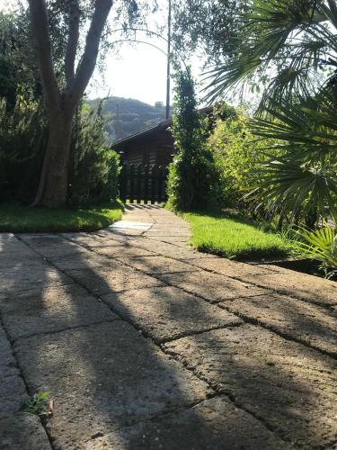 Un jardín fuera de Chalet Lidia