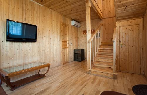 a room with a tv and a staircase in a cabin at Gorny Ruchej in Hora