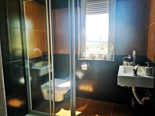 a bathroom with a shower and a toilet and a sink at Apartment Trieste HerMes arT in Sežana