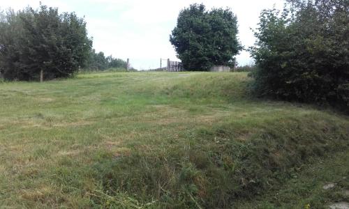a field of grass with trees in the distance at Apartment in the Hájenka holiday house in Blažejovice