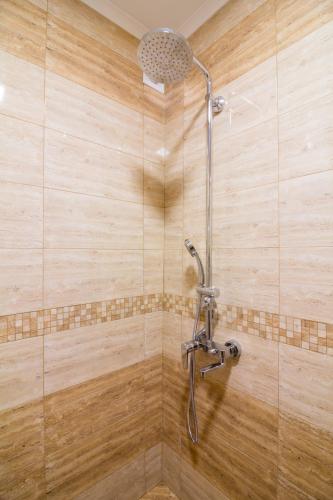 a bathroom with a shower with a wooden wall at Trite Bora Guest House in Narechenski Bani