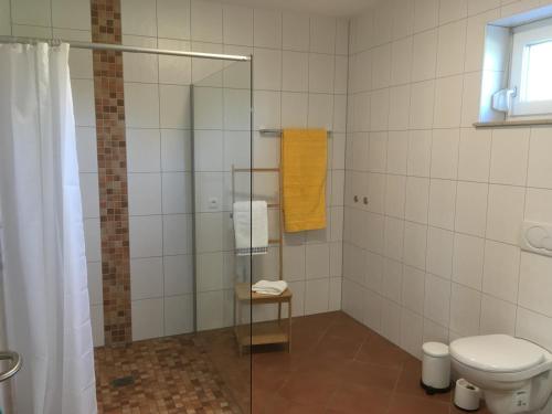 y baño con ducha y aseo. en Ferienwohnung Walkershofen, en Simmershofen