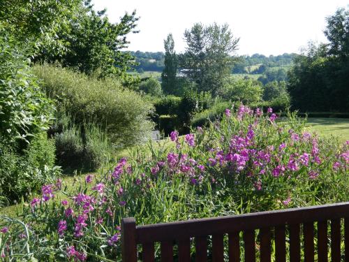 a bench in front of a garden with purple flowers at Gîte de Charme Les Petits Matins Bleus in Sainte-Marguerite-de-Viette