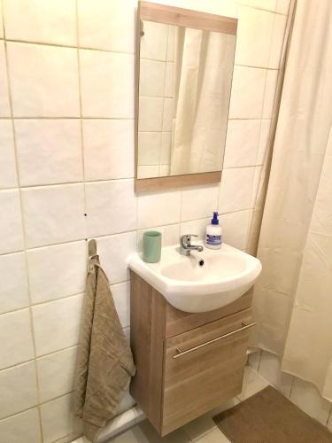 une salle de bain avec un lavabo et un miroir dans l'établissement Jolie T2 la ciotat, à La Ciotat