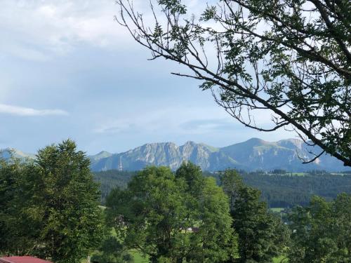 a view of the mountains from the trees at Domek Tatrzańska Zyngierka z Jacuzzi in Ząb