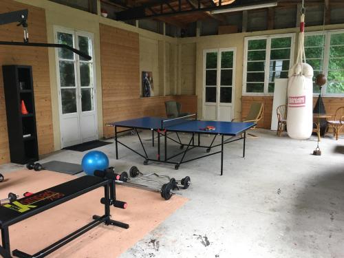 - une salle de sport avec une table de ping-pong et un ballon de ping-pong dans l'établissement Chateau Anaselle, à Condé-sur-Noireau