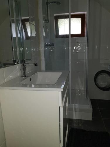 une salle de bain avec un lavabo et une douche en verre dans l'établissement Joli petit appartement au calme, à Vignec