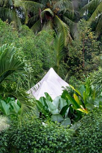 a white tent in the middle of plants at Sandat Glamping Tents in Ubud