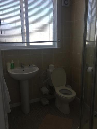 a bathroom with a toilet and a sink and a window at Alderberry Lodge in Newquay
