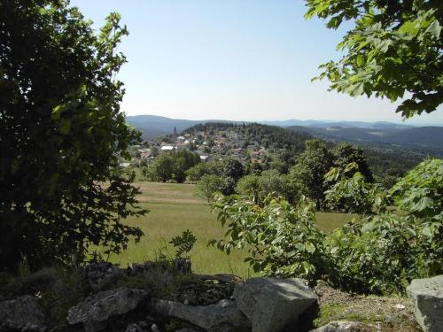 a view of a green field with a town on a hill at Ferienwohnungen Krieger in Mauth