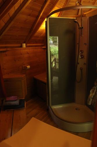 baño con ducha en una cabina en Moulin de Bray - Chambres d'hotes et hébergement Insolite, en Vieux-Vy-sur-Couesnon