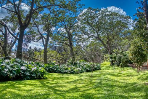 a field of grass with trees and flowers at Crater Rim Cabin in Volcano