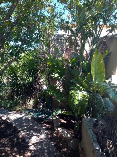 Κήπος έξω από το Arthouse Campos mit Haus Galeria 110qm und Appartementhaus mit Patio 30qm