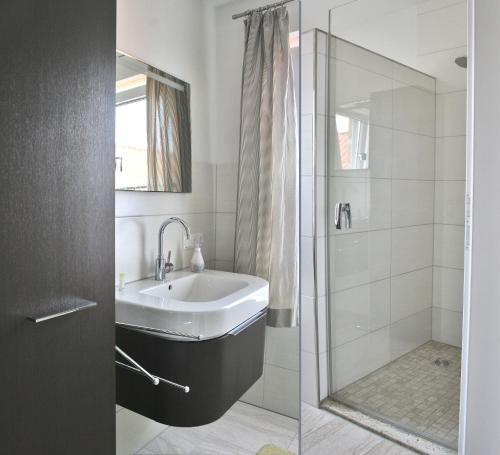 a bathroom with a sink and a shower at Landhaus - Hof Pakirnis in Bleckede