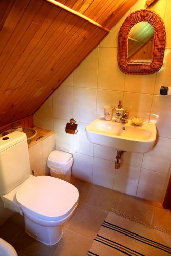 a bathroom with a white toilet and a sink at Pod Dębem in Giby