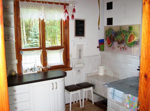 A kitchen or kitchenette at Pod Dębem