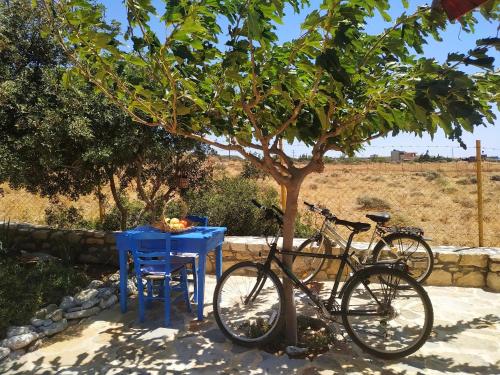 two bikes parked next to a blue table under a tree at Orionas in Tsoútsouros