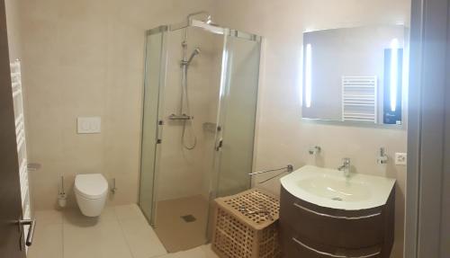 a bathroom with a shower and a sink and a toilet at Studio de vacances in Crémines