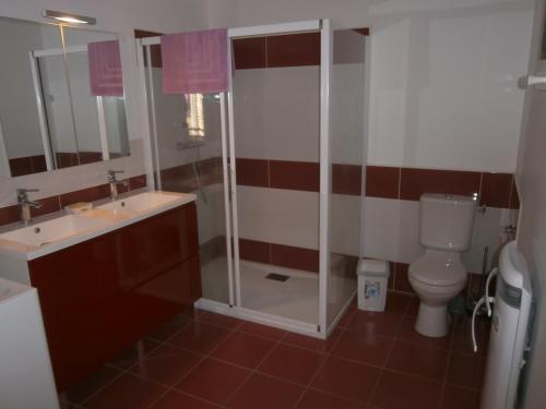 Kylpyhuone majoituspaikassa gitedelaplessardiere