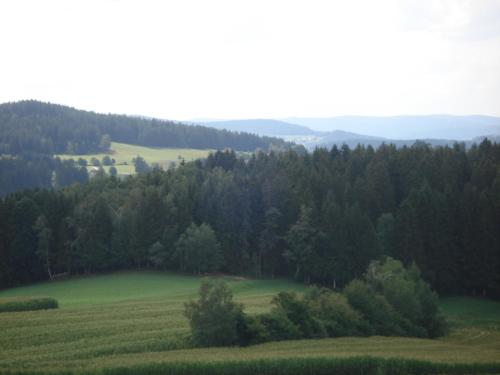 RinchnachにあるHaus Hönigsgrubの木々が植えられた緑地