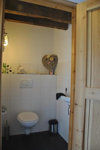 a bathroom with a toilet and a sink at Erfgoed & Logies Den Heijkant in Moergestel
