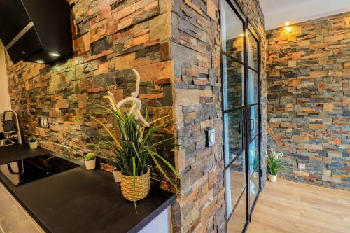 a brick wall in a room with plants on a counter at The Paradise Monac'Home Parking in Monte Carlo