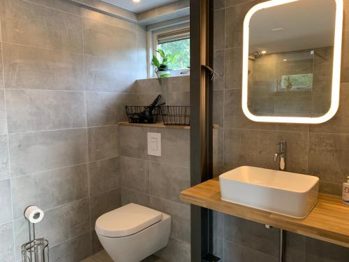 a bathroom with a toilet and a sink and a mirror at Mae Usu in Nieuw-Roden