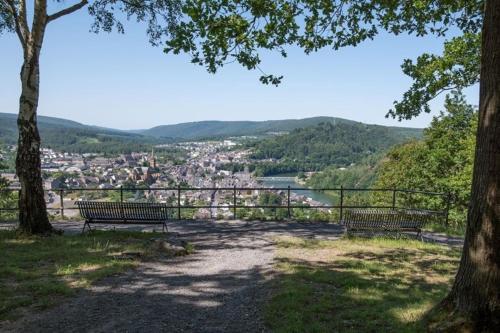 two benches in a park with a view of a city at Ancienne Fermette le Charlemont Givet Foisches in Foisches