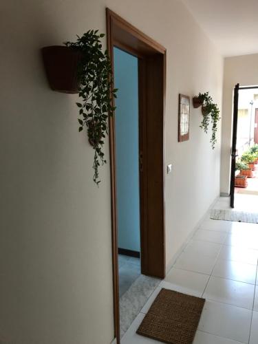 a hallway with a door with a plant on the wall at Little Paradise in Taormina