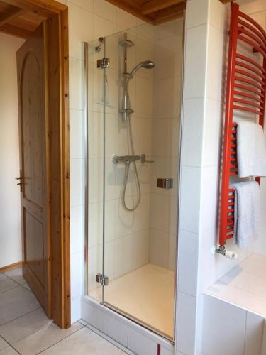 een douche met een glazen deur in de badkamer bij Landgoed De Blaauwe Blaer in Hall