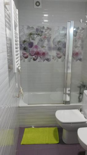 ein Badezimmer mit einer Dusche, einem WC und einem grünen Teppich in der Unterkunft Apartamento con vistas a la catedral in Santiago de Compostela