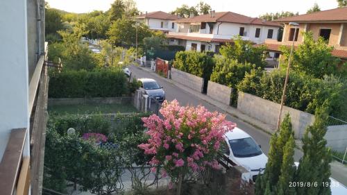 a view of a street with cars parked in a yard at Bella Civita in Bagnoregio