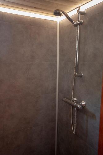 a shower with a shower head in a bathroom at Houseboat Vinkeveen in Vinkeveen