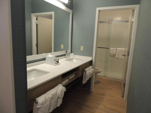 a bathroom with a sink and a mirror and a toilet at The Inn at Longwood Medical in Boston