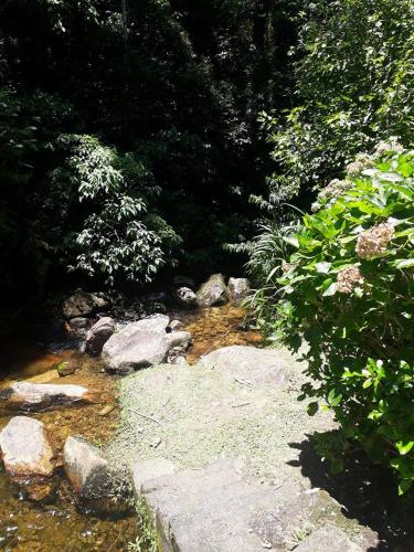 a stream of water with rocks in a forest at Pousada Moinho Azul in Teresópolis
