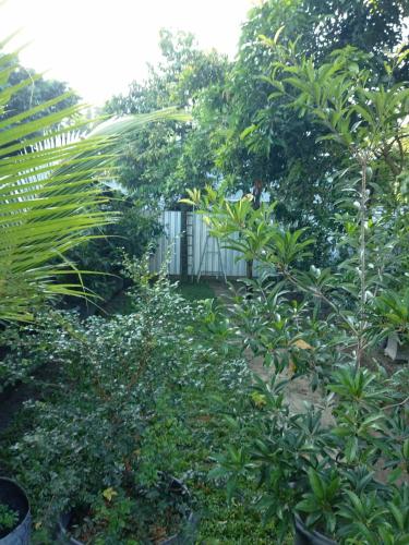 Κήπος έξω από το Omah Kebon Kalasan