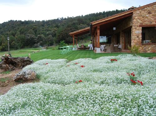 a field of white flowers in front of a building at Hotel Del Verde Al Amarillo in Peñasrubias de Pirón