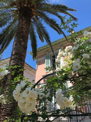 Hotel Villa Rose photo 31