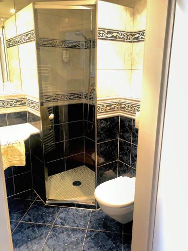 Bilik mandi di Mokni's Palais Hotel & SPA