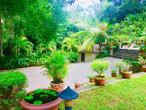 a garden with palm trees and plants in pots at Goyambokka Guesthouse in Tangalle