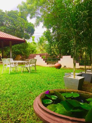 a garden with a fountain and a table and chairs at Goyambokka Guesthouse in Tangalle
