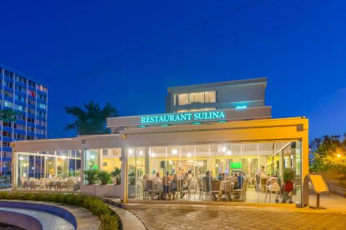 Hotel Sulina International