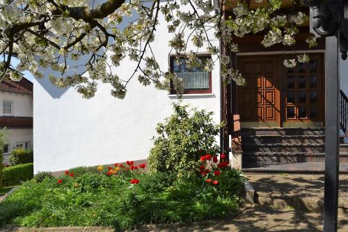 uma casa com flores em frente a uma porta em FeWo Ackermann em Modautal