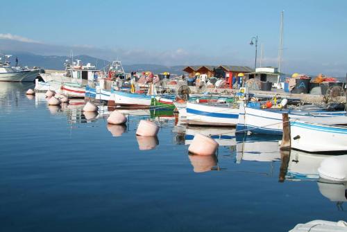 a group of boats are docked in a harbor at Gabbiano Azzurro Hotel & Suites in Golfo Aranci