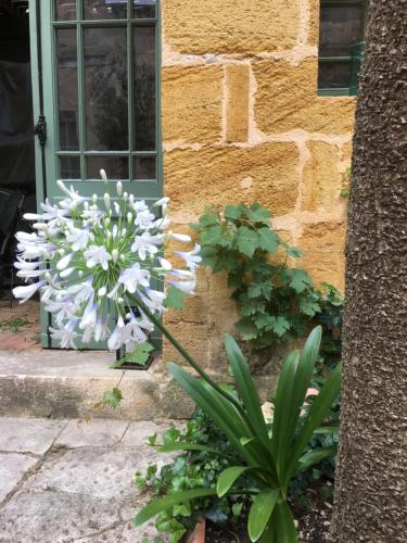 Galeriebild der Unterkunft Maison de Maître Elegia in Castillon-la-Bataille