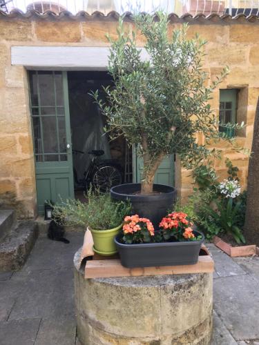 Galeriebild der Unterkunft Maison de Maître Elegia in Castillon-la-Bataille