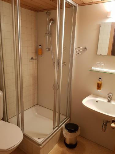 y baño con ducha, aseo y lavamanos. en Gasthaus Montafonerhüsli, en Sankt Gallenkirch