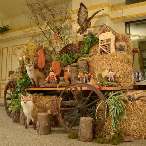 a group of cats standing in front of a cart with hay at Hotel Kaiseralm in Bischofsgrün
